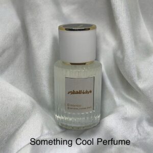 Something Cool Perfume 30ML