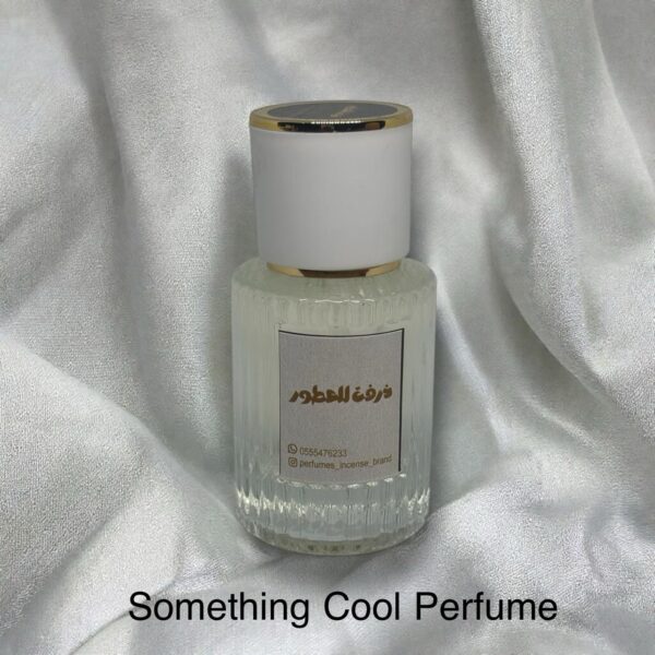 Something Cool Perfume 30ML